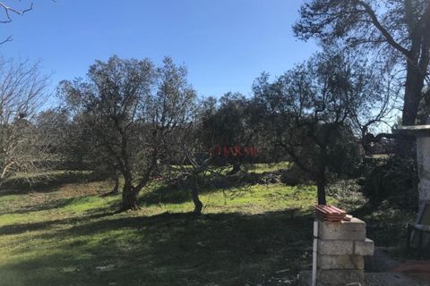 Landejendom i Cisternino, Brindisi, Cisternino - € 235.000 | Ref: 161 - foto 15