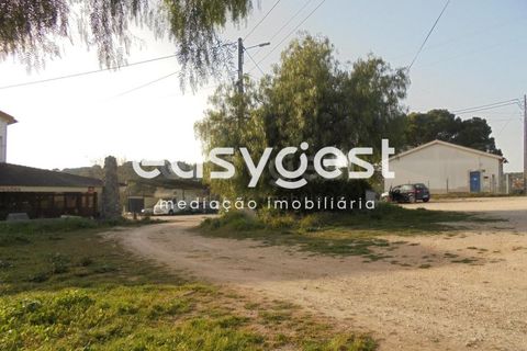 Villa a Tomar, Santarem, Tomar - € 295.000 | Ref: TM87132 - foto 11