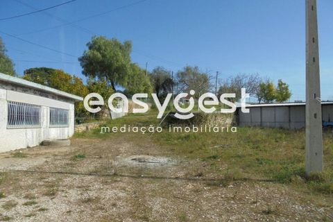 Villa a Tomar, Santarem, Tomar - € 295.000 | Ref: TM87132 - foto 13