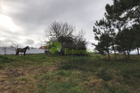 Helårsgrund i Cadaval, Lisbon, Cadaval - € 87.500 | Ref: 1258 - foto 4