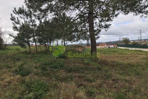 Helårsgrund i Cadaval, Lisbon, Cadaval - € 87.500 | Ref: 1258 - foto 13