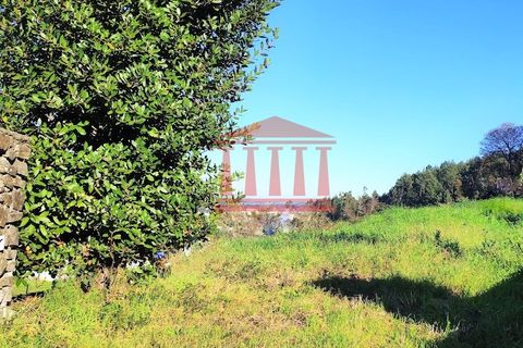 Tomt i Gamil e Midoes, Braga, Gamil e Midoes - € 67 000 | Ref: 272T00878 - foto 3