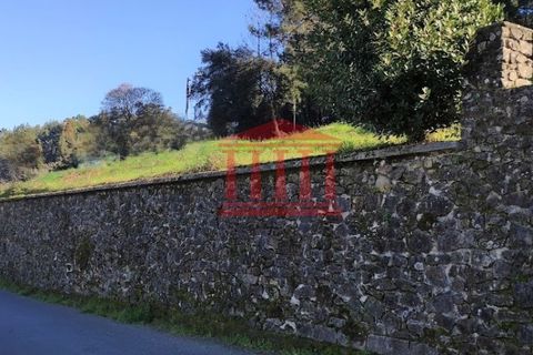 Tomt i Gamil e Midoes, Braga, Gamil e Midoes - € 67 000 | Ref: 272T00878 - foto 12