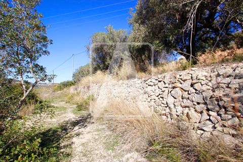 Tomt i Benissa, Alicante, Benissa - € 220 000 | Ref: PBS0020 - foto 4