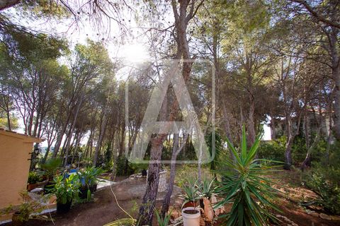 Helårsgrund i Benissa, Alicante, Benissa - € 157.000 | Ref: PBS0031 - foto 3