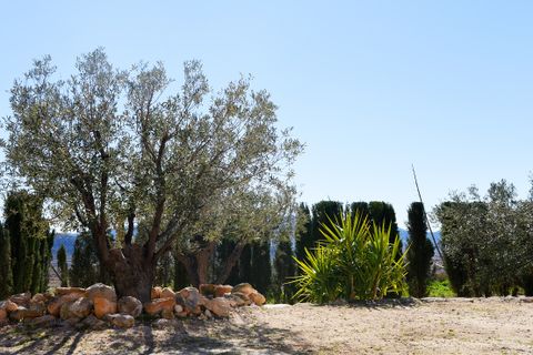 Landejendom i Jumilla, Murcia, Jumilla - € 197.000 | Ref: CF3217 - foto 26