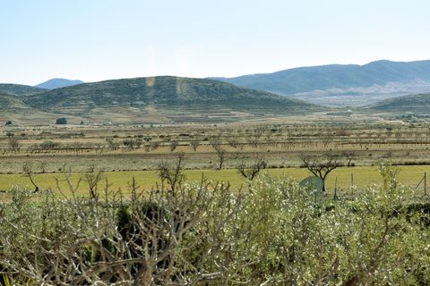 Landejendom i Jumilla, Murcia, Jumilla - € 197.000 | Ref: CF3217 - foto 28