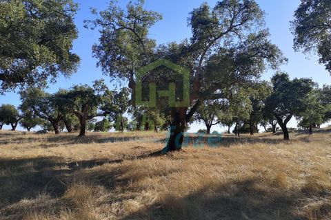 Landejendom i Arraiolos, Evora, Arraiolos - € 1.900.000 | Ref: 938 - foto 3