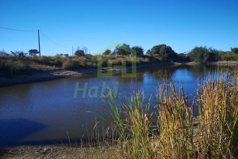 Landejendom i Arraiolos, Evora, Arraiolos - € 1.900.000 | Ref: 938 - foto 1
