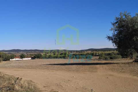 Landejendom i Arraiolos, Evora, Arraiolos - € 1.900.000 | Ref: 938 - foto 10