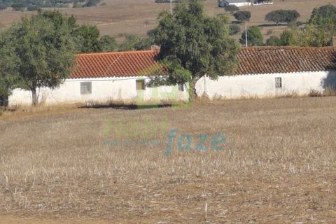 Landejendom i Arraiolos, Evora, Arraiolos - € 1.900.000 | Ref: 938 - foto 11