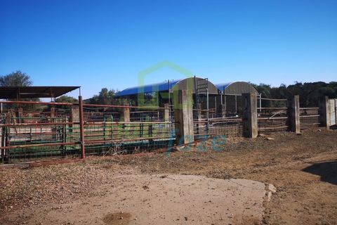 Landejendom i Arraiolos, Evora, Arraiolos - € 1.900.000 | Ref: 938 - foto 12