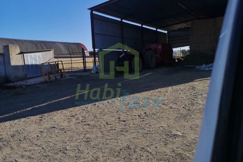 Landejendom i Arraiolos, Evora, Arraiolos - € 1.900.000 | Ref: 938 - foto 13