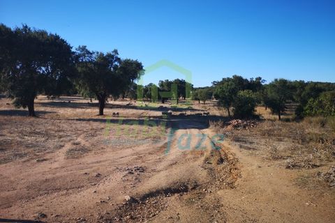 Landejendom i Arraiolos, Evora, Arraiolos - € 1.900.000 | Ref: 938 - foto 14
