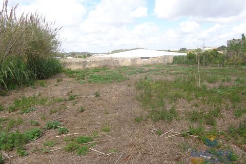 Helårsgrund i Obidos, Leiria, Obidos - € 90.000 | Ref: TC620 - foto 4