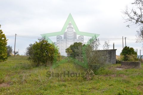 Helårsgrund i Asseiceira, Santarem, Asseiceira - € 130.000 | Ref: Star_69/22 - foto 3