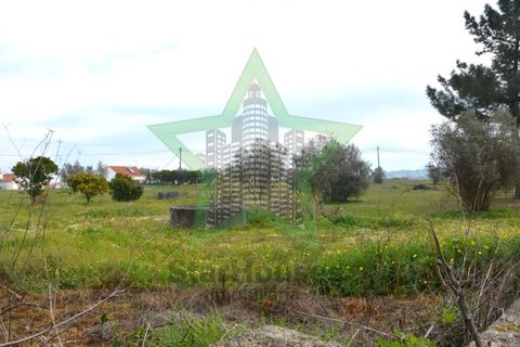 Helårsgrund i Asseiceira, Santarem, Asseiceira - € 130.000 | Ref: Star_69/22 - foto 4