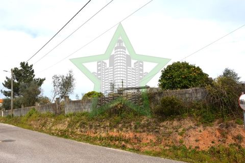 Helårsgrund i Asseiceira, Santarem, Asseiceira - € 130.000 | Ref: Star_69/22 - foto 5