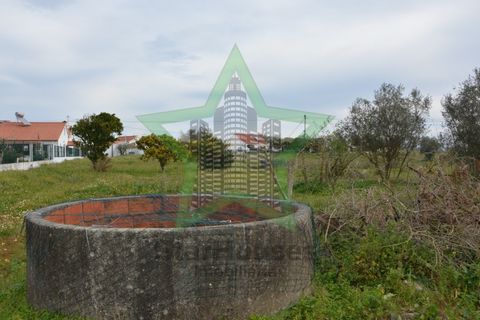 Helårsgrund i Asseiceira, Santarem, Asseiceira - € 130.000 | Ref: Star_69/22 - foto 2