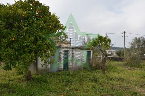 Helårsgrund i Asseiceira, Santarem, Asseiceira - € 130.000 | Ref: Star_69/22 - foto 8