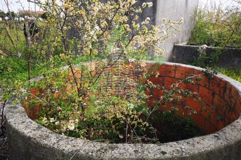 Helårsgrund i Asseiceira, Santarem, Asseiceira - € 130.000 | Ref: Star_69/22 - foto 10