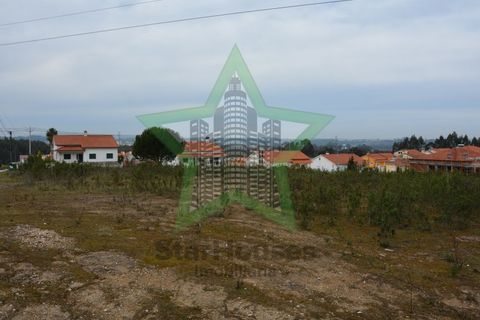 Helårsgrund i Asseiceira, Santarem, Asseiceira - € 35.000 | Ref: Star_68/22 - foto 5