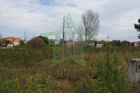 Helårsgrund i Asseiceira, Santarem, Asseiceira - € 35.000 | Ref: Star_68/22 - foto 6