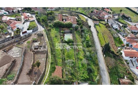 Farm i Santo Tirso, Porto, Santo Tirso - € 525.000 | Ref: RO1298A - foto 43