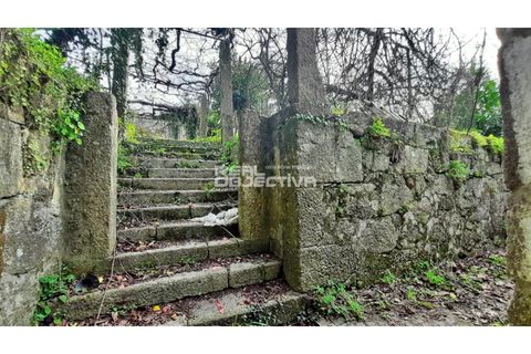 Villa i Santo Tirso, Porto, Santo Tirso - € 525.000 | Ref: RO1298 - foto 37