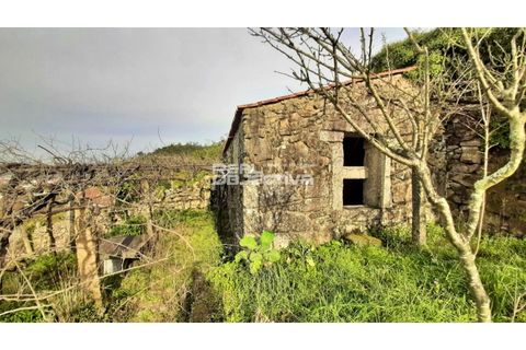 Villa i Santo Tirso, Porto, Santo Tirso - € 525.000 | Ref: RO1298 - foto 38
