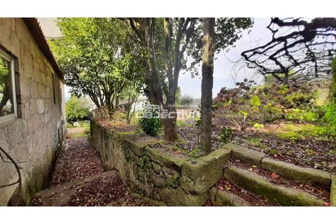 Villa i Santo Tirso, Porto, Santo Tirso - € 525.000 | Ref: RO1298 - foto 40