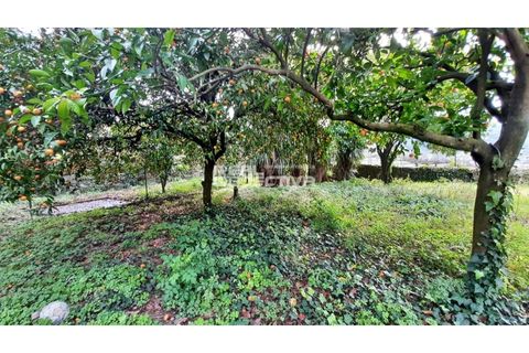 Villa i Santo Tirso, Porto, Santo Tirso - € 525.000 | Ref: RO1298 - foto 42