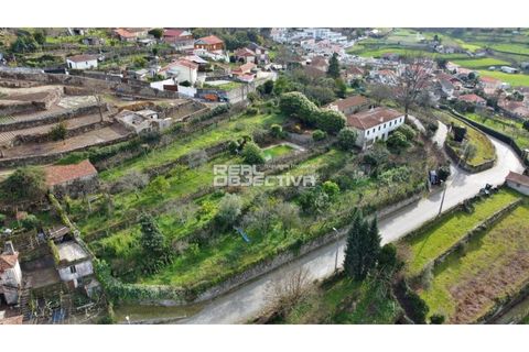 Villa i Santo Tirso, Porto, Santo Tirso - € 525.000 | Ref: RO1298 - foto 43