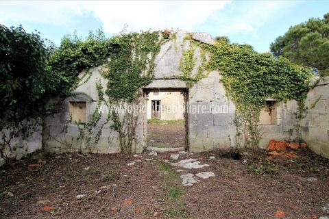 Farm hus i Maglie, Lecce, Maglie - € 500.000 | Ref: CA524 - foto 5