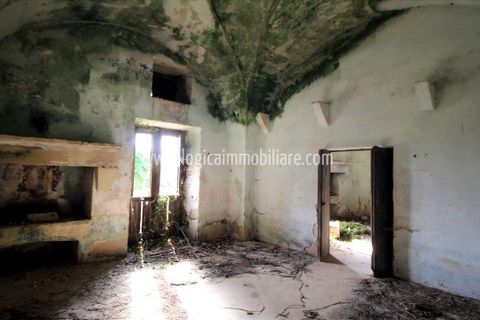 Farm hus i Maglie, Lecce, Maglie - € 500.000 | Ref: CA524 - foto 9