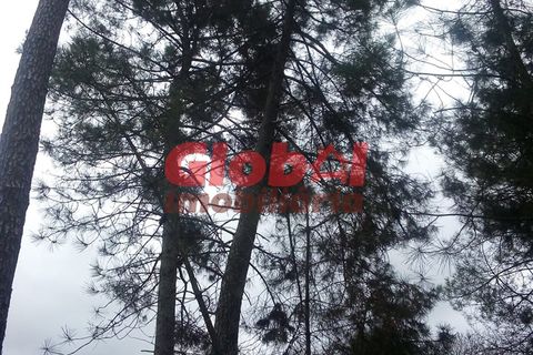 Helårsgrund i Viseu, Viseu, Viseu - € 40.000 | Ref: 189222074 - foto 3