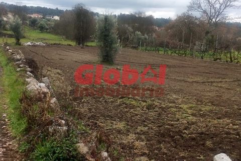 Helårsgrund i Viseu, Viseu, Viseu - € 40.000 | Ref: 189222074 - foto 4