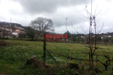 Helårsgrund i Viseu, Viseu, Viseu - € 40.000 | Ref: 189222074 - foto 6