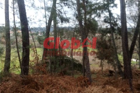 Helårsgrund i Viseu, Viseu, Viseu - € 40.000 | Ref: 189222074 - foto 7