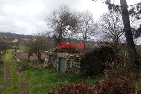 Helårsgrund i Viseu, Viseu, Viseu - € 40.000 | Ref: 189222074 - foto 8