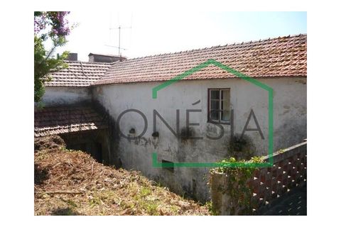 Farm i Caminha, Viana do Castelo, Caminha - € 600.000 | Ref: 1736 - foto 2