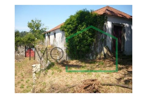 Farm i Caminha, Viana do Castelo, Caminha - € 600.000 | Ref: 1736 - foto 3