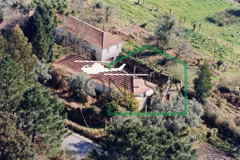 Farm i Caminha, Viana do Castelo, Caminha - € 600.000 | Ref: 1736 - foto 5