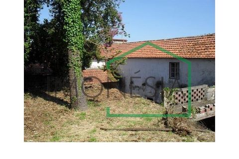 Farm i Caminha, Viana do Castelo, Caminha - € 600.000 | Ref: 1736 - foto 6