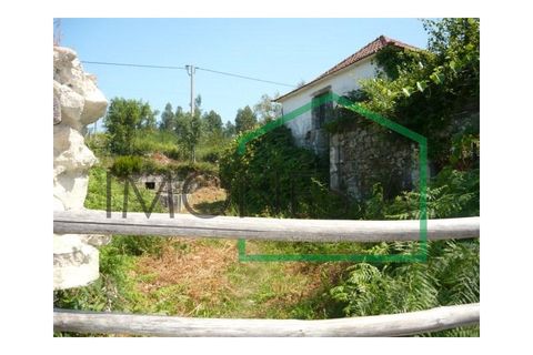 Farm i Caminha, Viana do Castelo, Caminha - € 600.000 | Ref: 1736 - foto 10