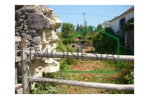 Farm i Caminha, Viana do Castelo, Caminha - € 600.000 | Ref: 1736 - foto 11