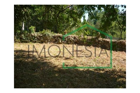 Farm i Caminha, Viana do Castelo, Caminha - € 600.000 | Ref: 1736 - foto 13