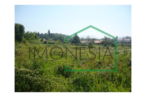 Farm i Caminha, Viana do Castelo, Caminha - € 600.000 | Ref: 1736 - foto 16