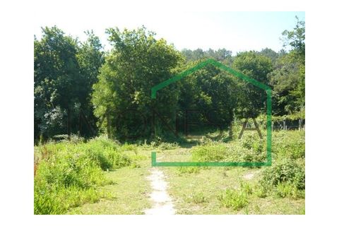 Farm i Caminha, Viana do Castelo, Caminha - € 600.000 | Ref: 1736 - foto 18