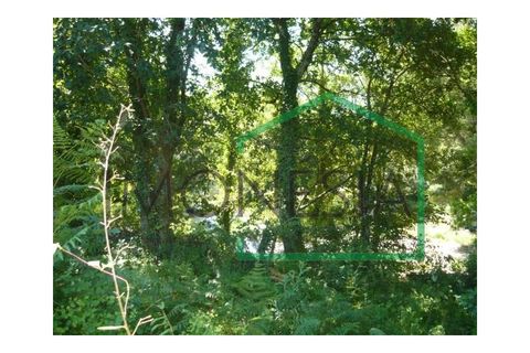 Farm i Caminha, Viana do Castelo, Caminha - € 600.000 | Ref: 1736 - foto 19